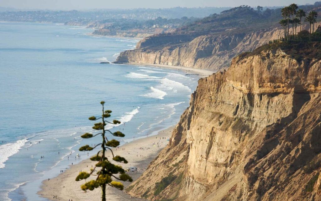 Torrey Pines State Beach