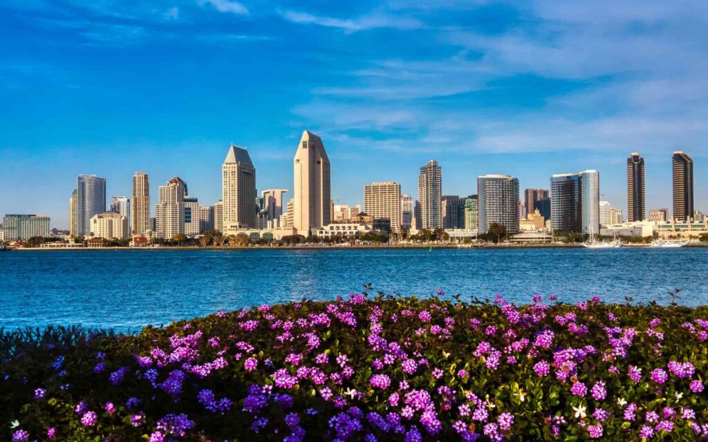 San Diego in Spring San Diego waterfront skyline with colorful flowers during spring